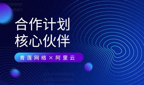青蓮網(wǎng)絡 攜手阿里云，共建云原生及MSP合作新生態(tài)